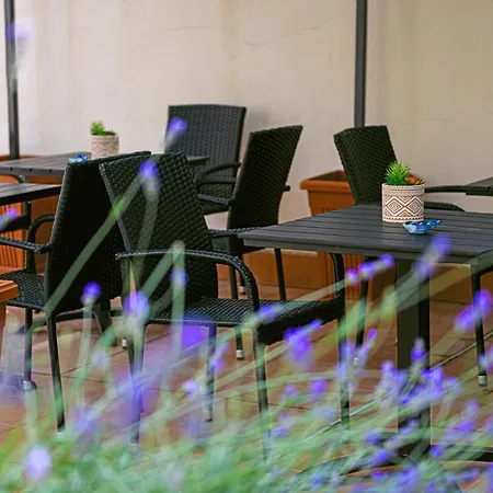 Noon Nocleg ze śniadaniem 3*